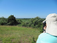 Enlarge photo 21