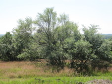 Enlarge photo 22