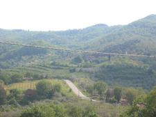 Enlarge photo 17