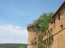 Enlarge photo 17