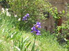 Enlarge photo 23