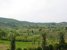 Enlarge photo 36