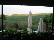 Enlarge photo 41
