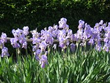 Enlarge photo 21
