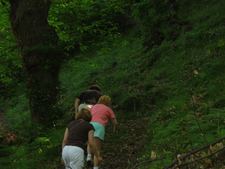 Enlarge photo 1