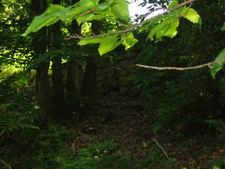 Enlarge photo 3