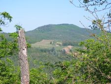 Enlarge photo 14