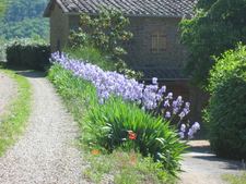 Enlarge photo 19