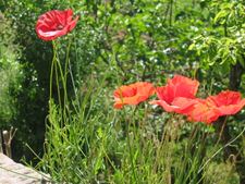 Enlarge photo 22