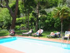 Enlarge photo 31