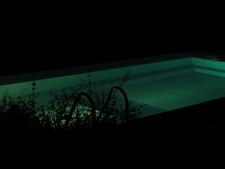 Enlarge photo 53