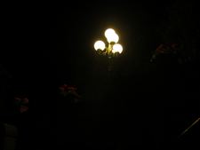 Enlarge photo 54