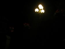 Enlarge photo 55
