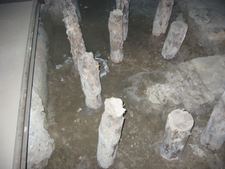 Enlarge photo 47