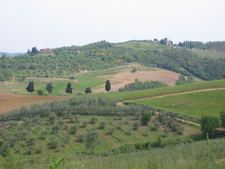 Enlarge photo 80