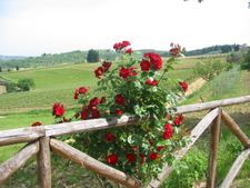 Enlarge photo 18