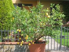 Enlarge photo 22