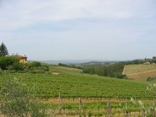 Enlarge photo 25