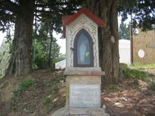 Enlarge photo 26