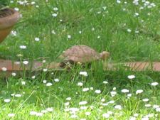 Enlarge photo 38