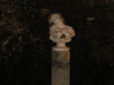 Enlarge photo 49