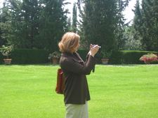 Enlarge photo 61