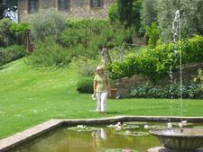 Enlarge photo 62
