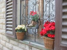 Enlarge photo 28