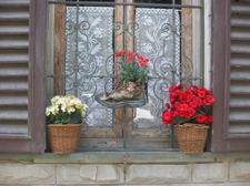 Enlarge photo 30