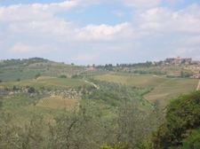 Enlarge photo 35