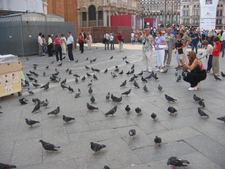 Enlarge photo 26