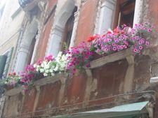 Enlarge photo 77