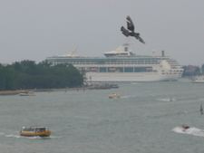 Enlarge photo 99