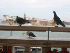 Enlarge photo 100