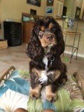 Lola