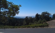 Enlarge photo 10