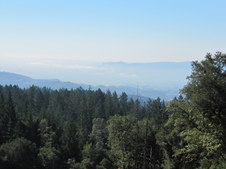 Enlarge photo 26