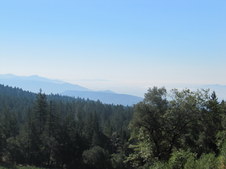 Enlarge photo 28