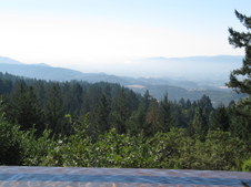 Enlarge photo 30