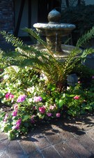 Enlarge photo 24