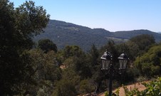 Enlarge photo 4