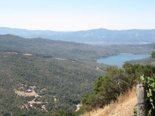 Enlarge photo 25