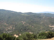 Enlarge photo 24