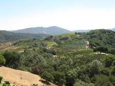 Enlarge photo 28