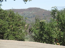 Enlarge photo 30