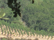 Enlarge photo 31
