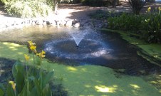 Enlarge photo 8