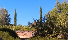 Enlarge photo 14
