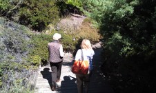 Enlarge photo 20