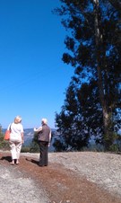 Enlarge photo 23